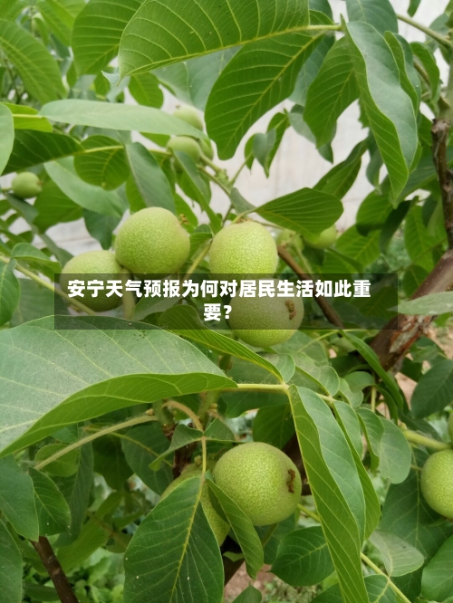 安宁天气预报为何对居民生活如此重要?