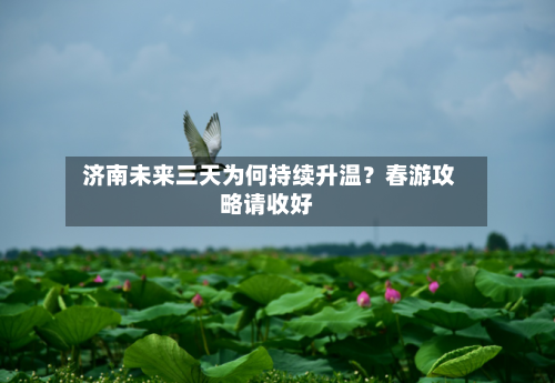  济南未来三天为何持续升温？春游攻略请收好