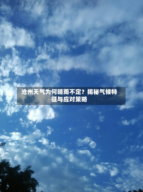  沧州天气为何晴雨不定？揭秘气候特征与应对策略  