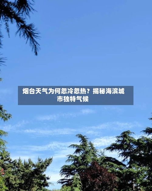  烟台天气为何忽冷忽热？揭秘海滨城市独特气候
