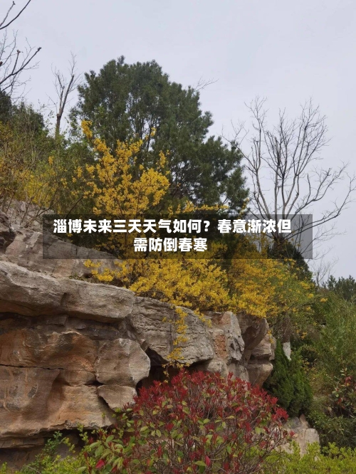  淄博未来三天天气如何？春意渐浓但需防倒春寒
