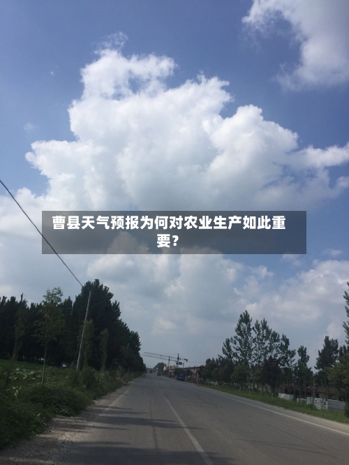  曹县天气预报为何对农业生产如此重要？