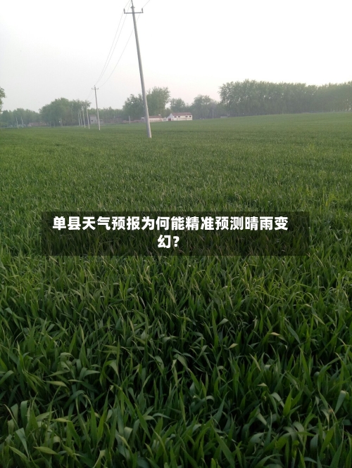  单县天气预报为何能精准预测晴雨变幻？