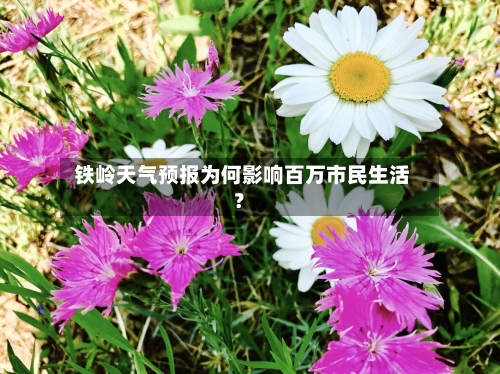  铁岭天气预报为何影响百万市民生活？  