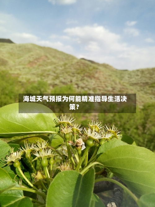  海城天气预报为何能精准指导生活决策？