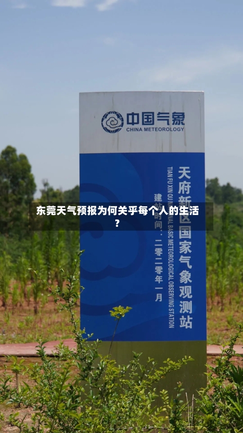  东莞天气预报为何关乎每个人的生活？