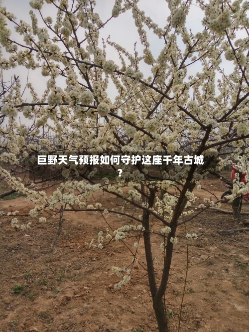  巨野天气预报如何守护这座千年古城？