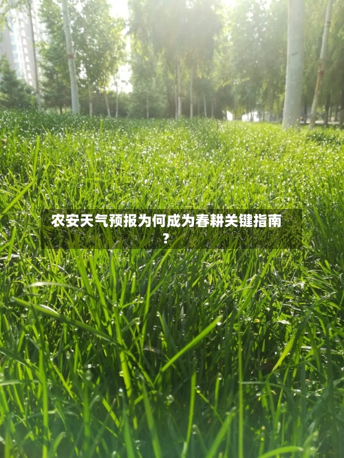 农安天气预报为何成为春耕关键指南？