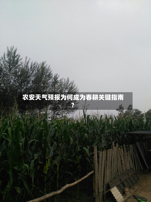  农安天气预报为何成为春耕关键指南？