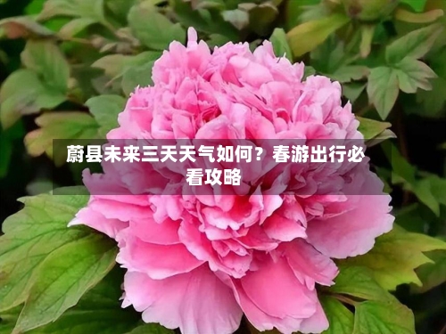  蔚县未来三天天气如何？春游出行必看攻略