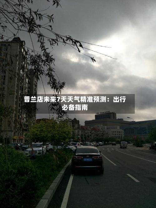 普兰店未来7天天气精准预测：出行必备指南