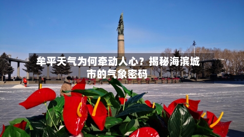  牟平天气为何牵动人心？揭秘海滨城市的气象密码
