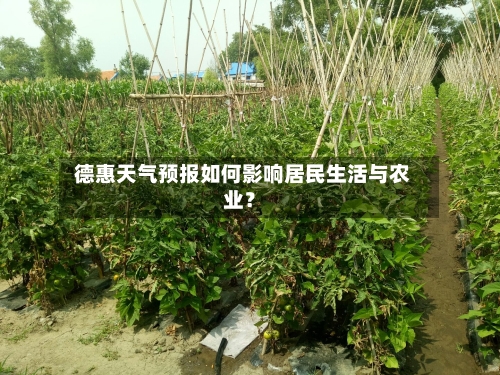  德惠天气预报如何影响居民生活与农业？