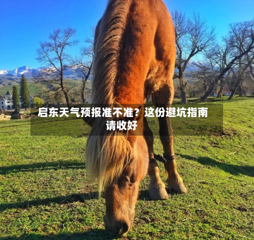  启东天气预报准不准？这份避坑指南请收好