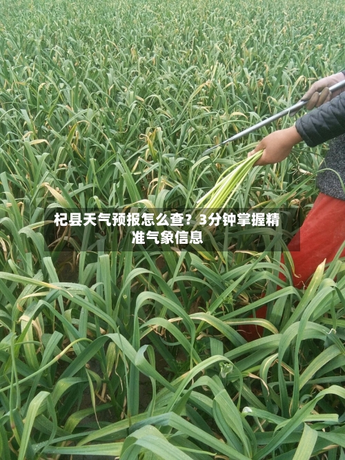  杞县天气预报怎么查？3分钟掌握精准气象信息  