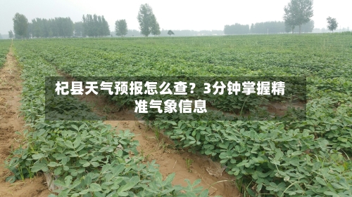  杞县天气预报怎么查？3分钟掌握精准气象信息  