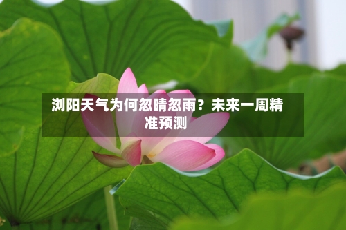  浏阳天气为何忽晴忽雨？未来一周精准预测