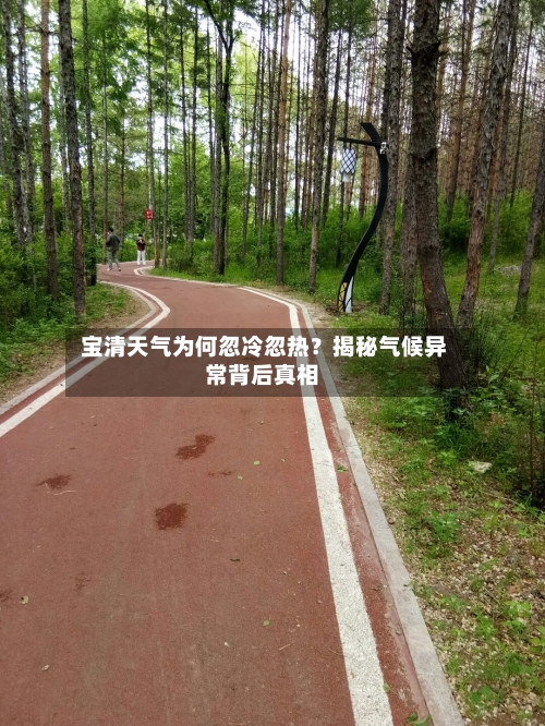  宝清天气为何忽冷忽热？揭秘气候异常背后真相