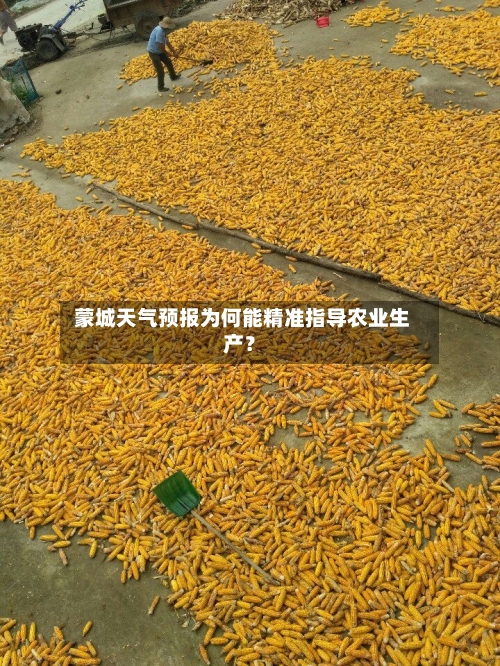  蒙城天气预报为何能精准指导农业生产？