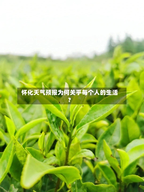  怀化天气预报为何关乎每个人的生活？