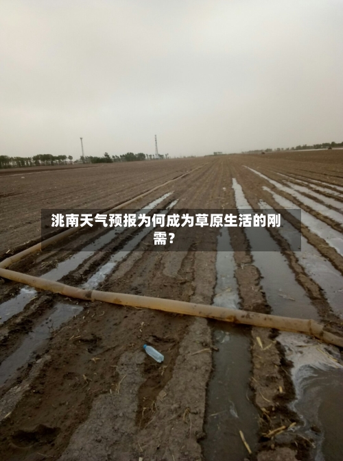  洮南天气预报为何成为草原生活的刚需？