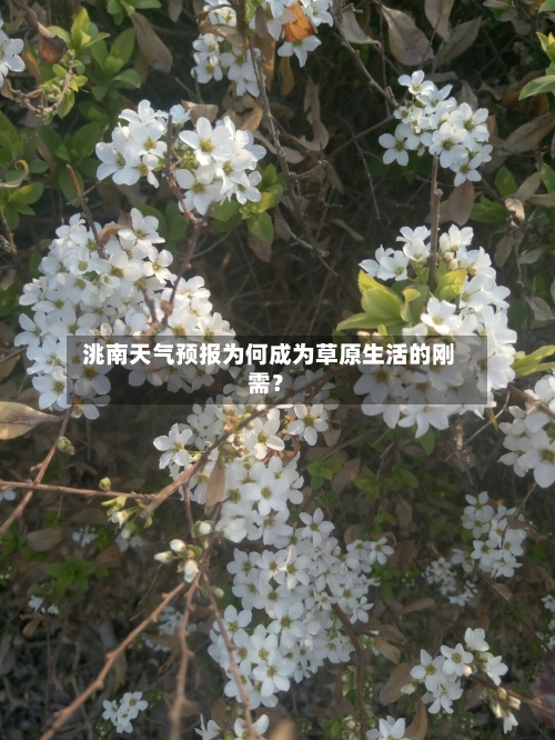 洮南天气预报为何成为草原生活的刚需?