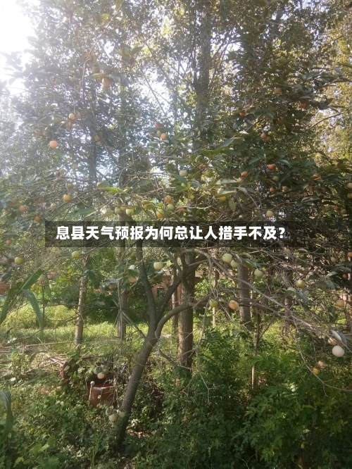  息县天气预报为何总让人措手不及？