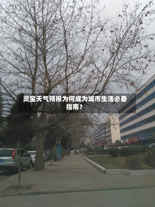  灵宝天气预报为何成为城市生活必备指南？