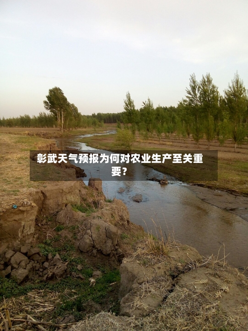  彰武天气预报为何对农业生产至关重要？