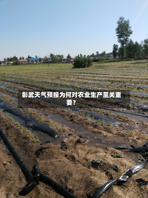 彰武天气预报为何对农业生产至关重要？
