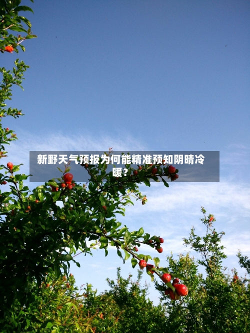 新野天气预报为何能精准预知阴晴冷暖?