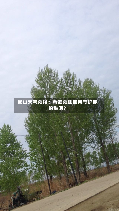  密山天气预报：精准预测如何守护你的生活？