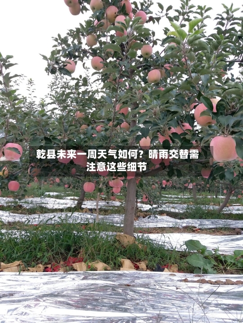  乾县未来一周天气如何？晴雨交替需注意这些细节