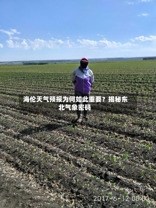  海伦天气预报为何如此重要？揭秘东北气象密码