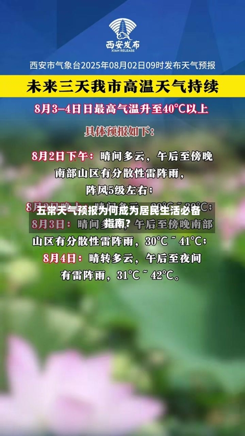 五常天气预报为何成为居民生活必备指南?