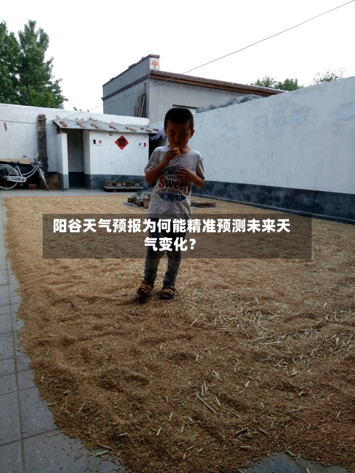  阳谷天气预报为何能精准预测未来天气变化？