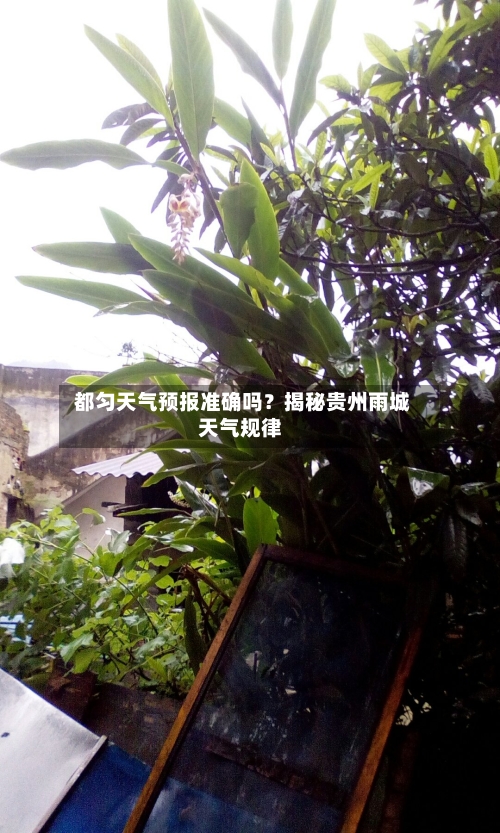  都匀天气预报准确吗？揭秘贵州雨城天气规律