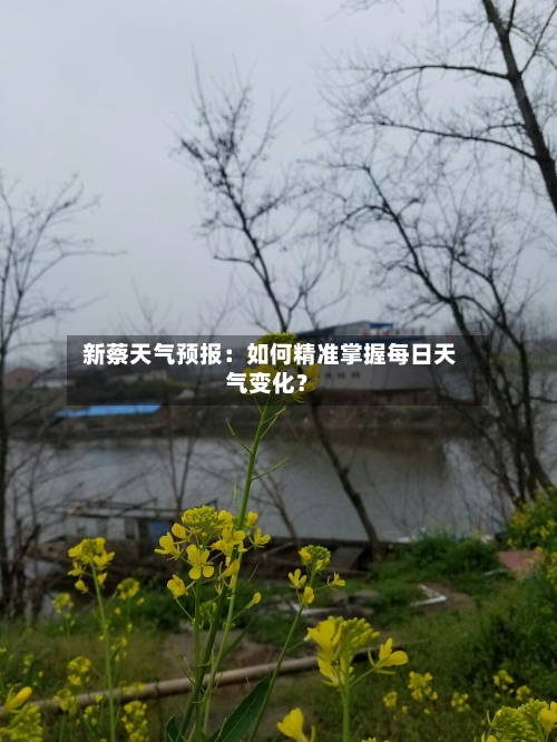  新蔡天气预报：如何精准掌握每日天气变化？