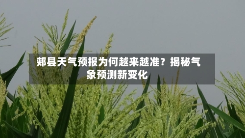  郏县天气预报为何越来越准？揭秘气象预测新变化
