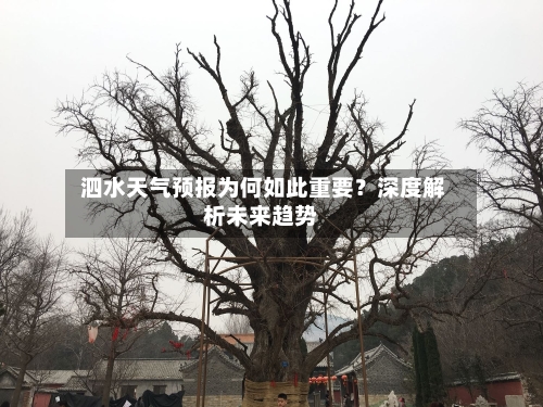  泗水天气预报为何如此重要？深度解析未来趋势