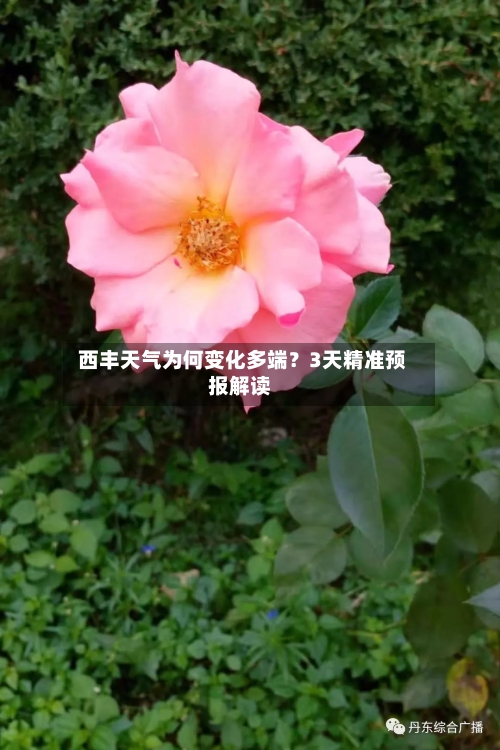  西丰天气为何变化多端？3天精准预报解读