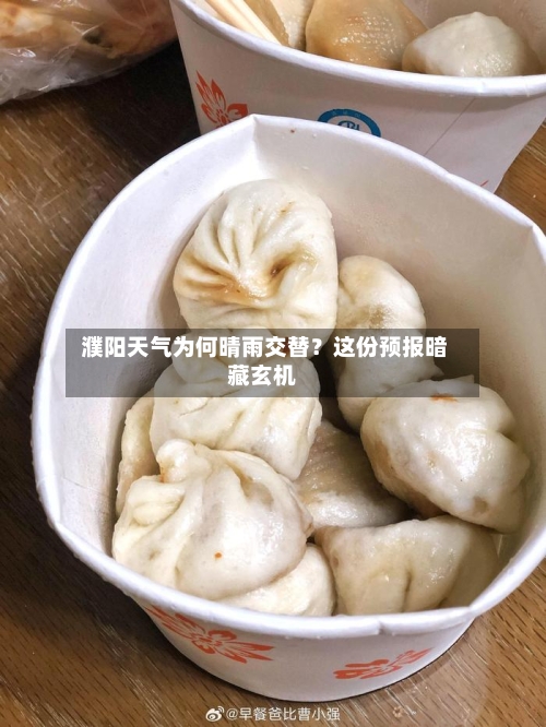  濮阳天气为何晴雨交替？这份预报暗藏玄机