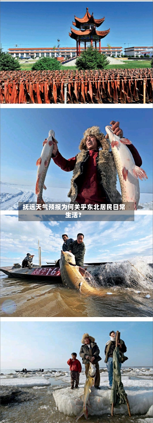  抚远天气预报为何关乎东北居民日常生活？