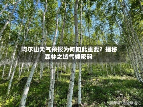  阿尔山天气预报为何如此重要？揭秘森林之城气候密码