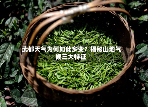  武都天气为何如此多变？揭秘山地气候三大特征