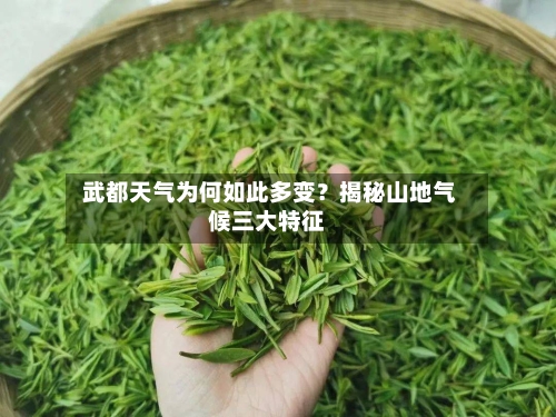  武都天气为何如此多变？揭秘山地气候三大特征