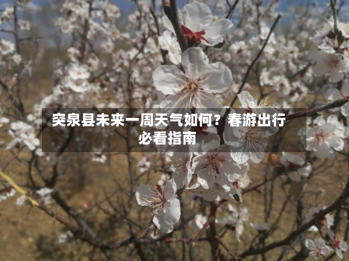  突泉县未来一周天气如何？春游出行必看指南