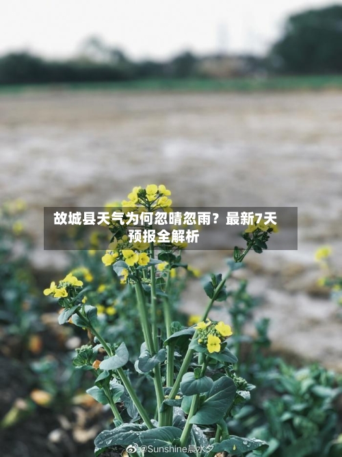  故城县天气为何忽晴忽雨？最新7天预报全解析