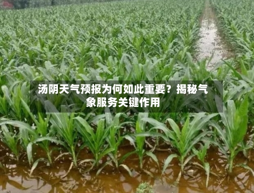  汤阴天气预报为何如此重要？揭秘气象服务关键作用  