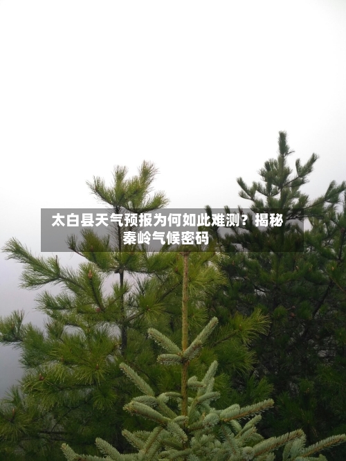  太白县天气预报为何如此难测？揭秘秦岭气候密码